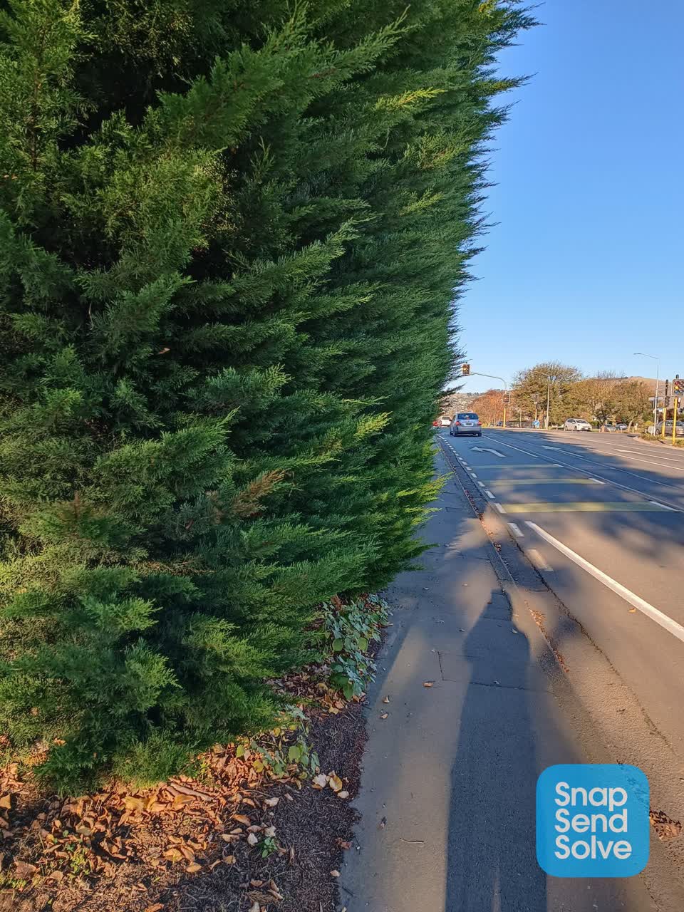 The photograph attached to this roading/streets report