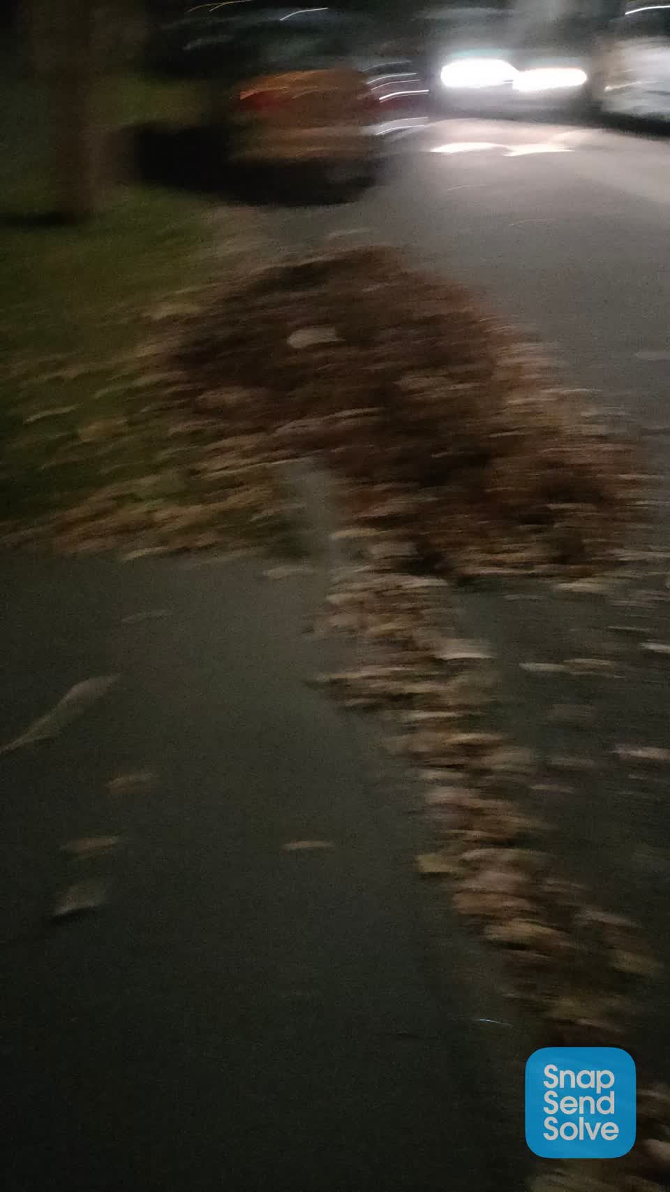The photograph attached to this roading/streets report