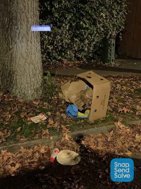 Rubbish/Recycling — a report photo