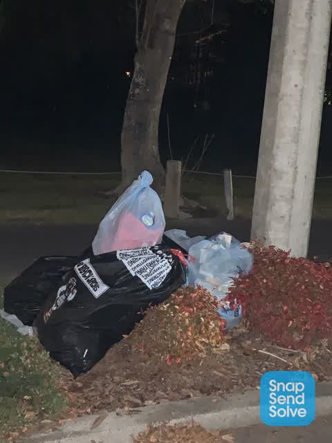 Rubbish/Recycling, a report photo