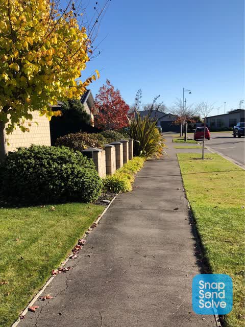 Roading/Streets, a report photo