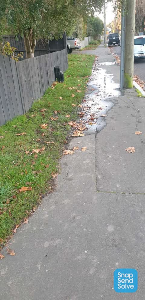 Water Leak, a report photo