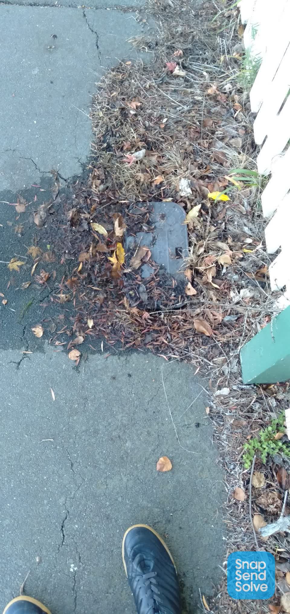 The photograph attached to this water leak report