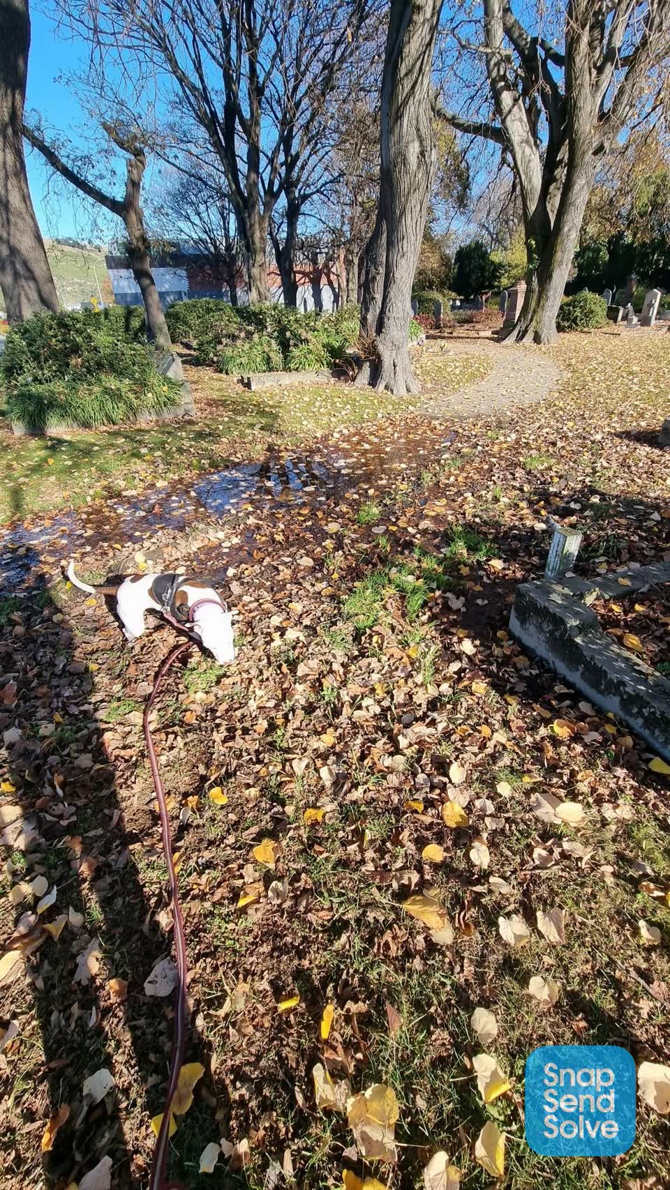 The photograph attached to this flooding report