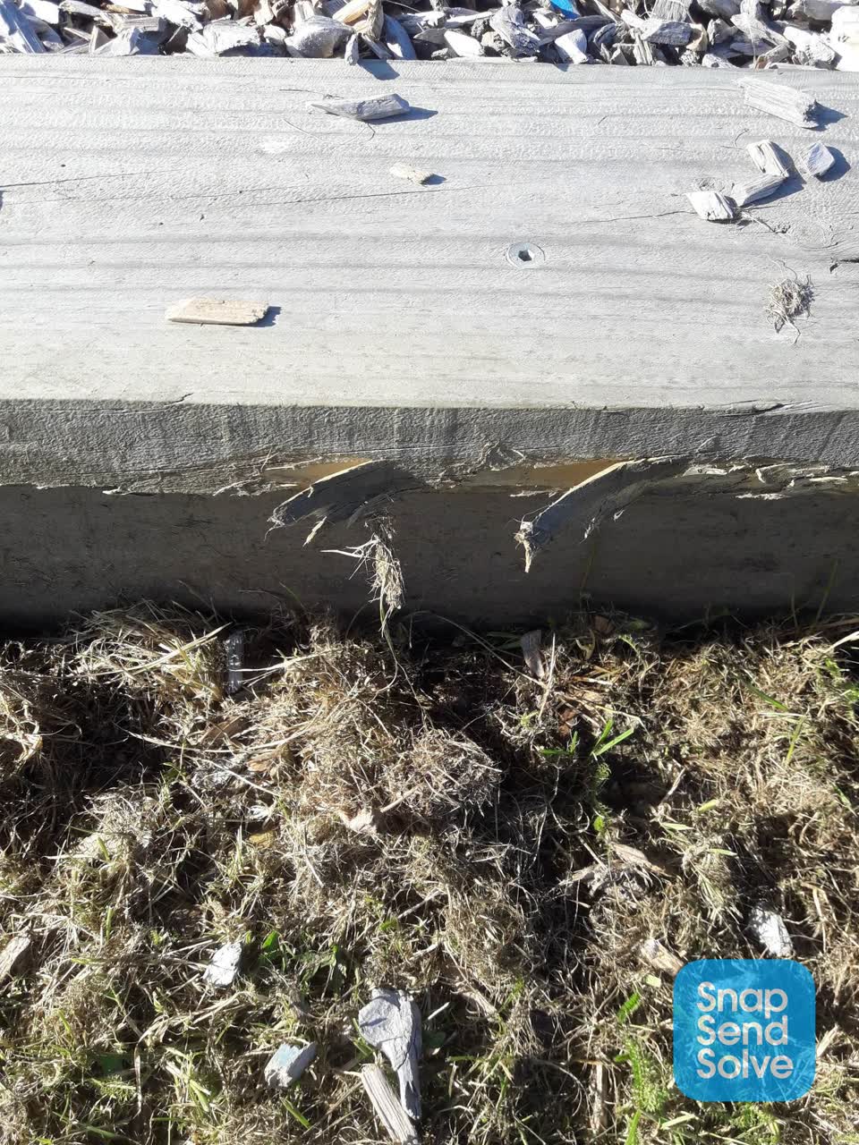 The photograph attached to this parks report
