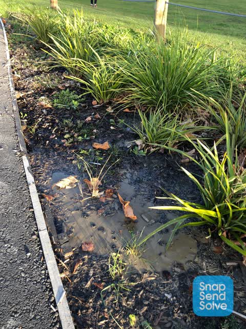 Water Leak, a report photo