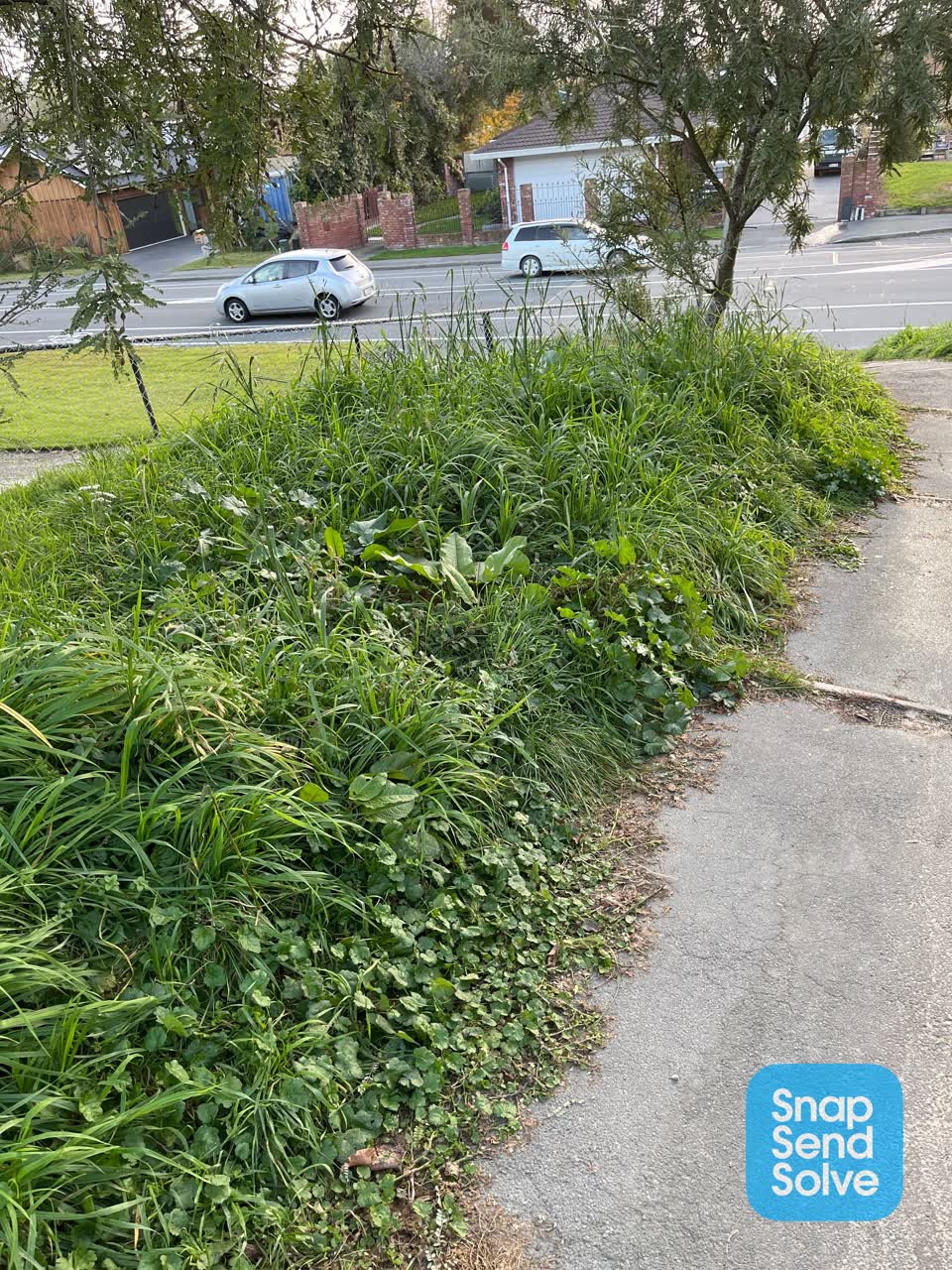 The photograph attached to this parks report