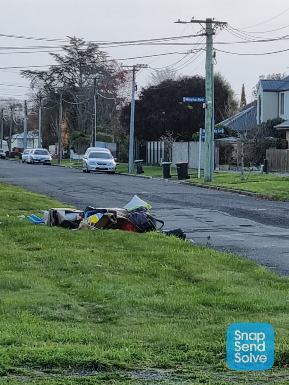The photograph attached to this parks report