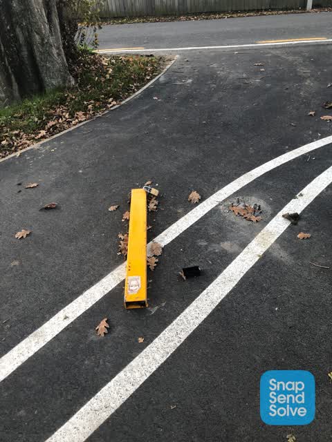 Parks, a report photo