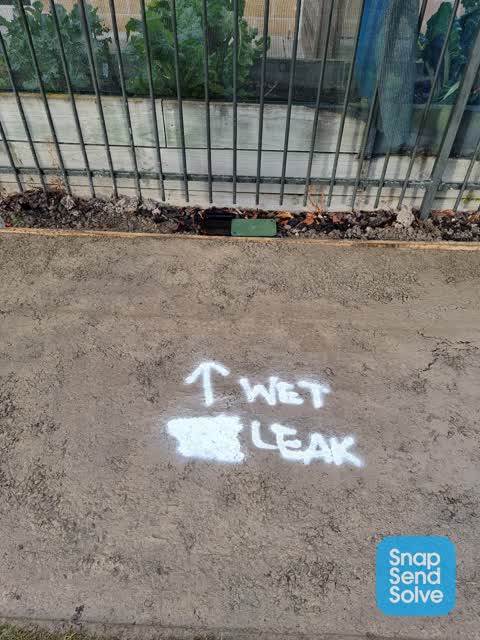 Water Leak, a report photo