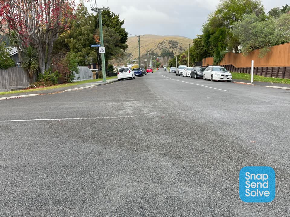 The photograph attached to this roading/streets report