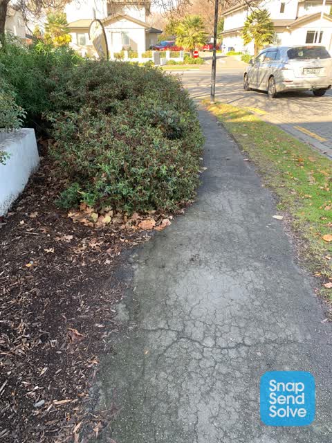 Roading/Streets, a report photo