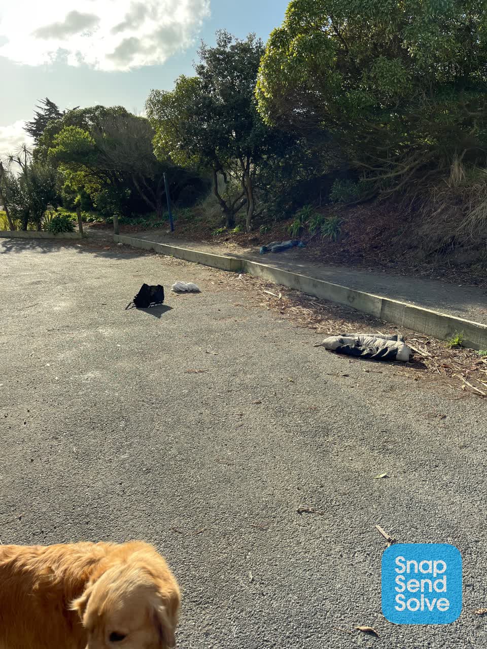 The photograph attached to this rubbish/recycling report