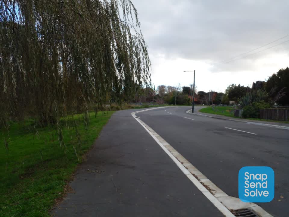 The photograph attached to this parks report