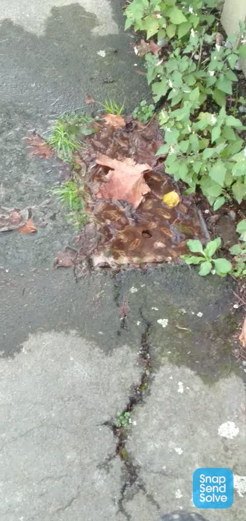 Water Leak, a report photo