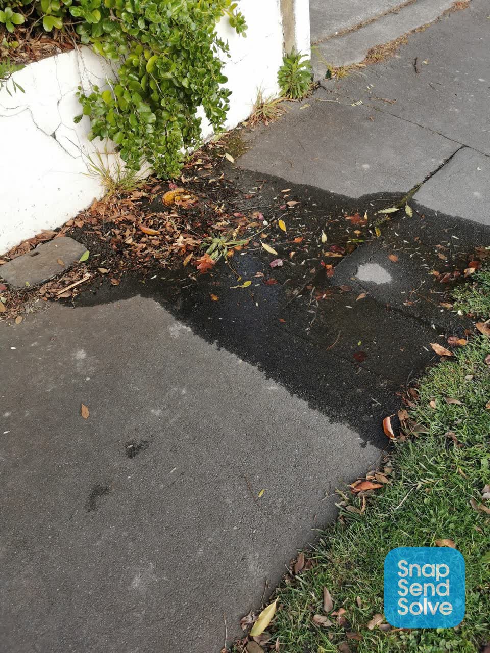The photograph attached to this water leak report