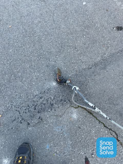 Parks, a report photo