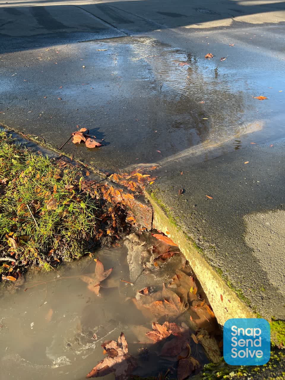 The photograph attached to this water leak report