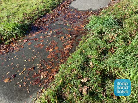 Water Leak, a report photo