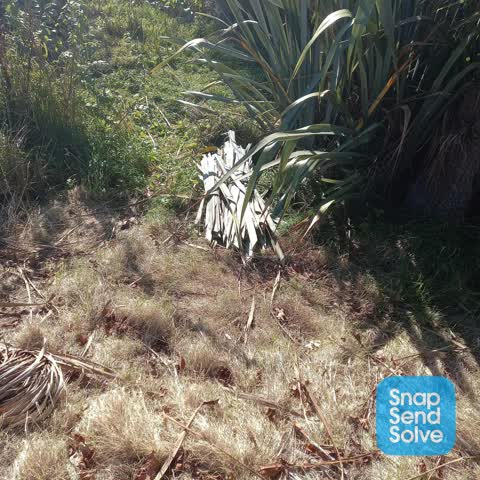 Rubbish/Recycling, a report photo