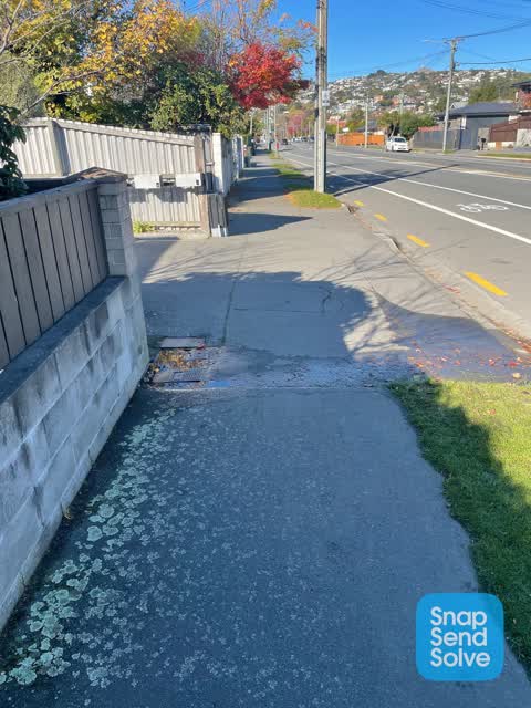 Water Leak, a report photo
