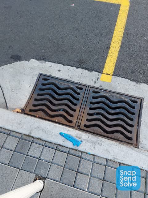 Roading/Streets, a report photo