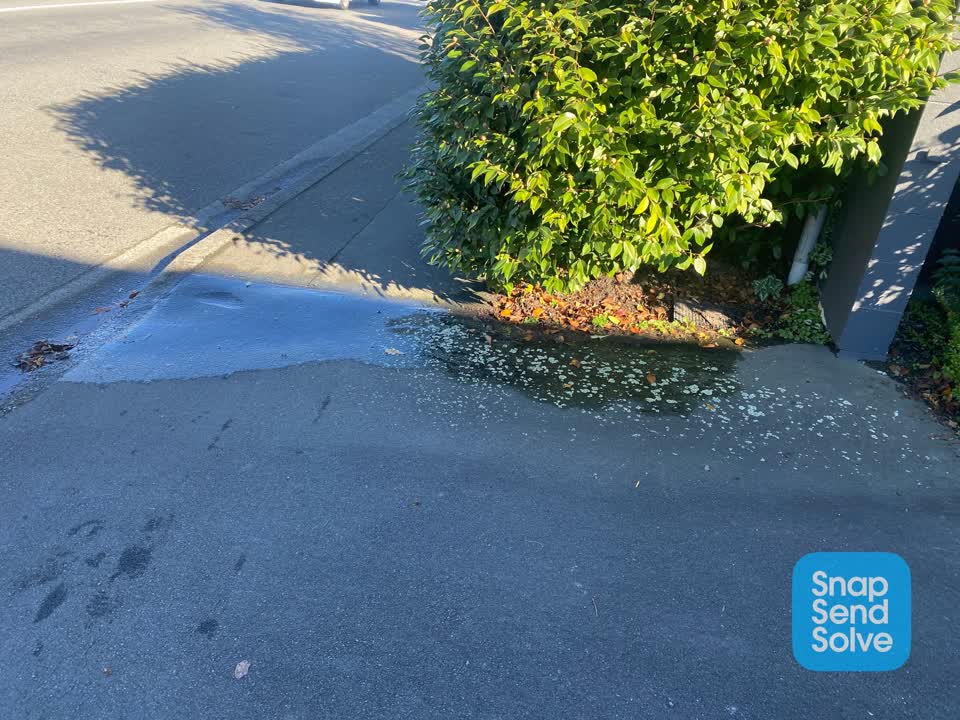 The photograph attached to this water leak report