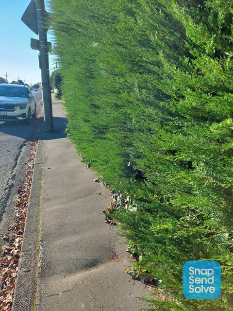 Roading/Streets, a report photo