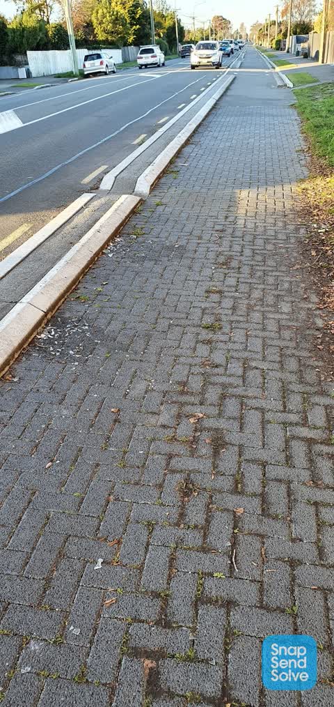 Roading/Streets, a report photo