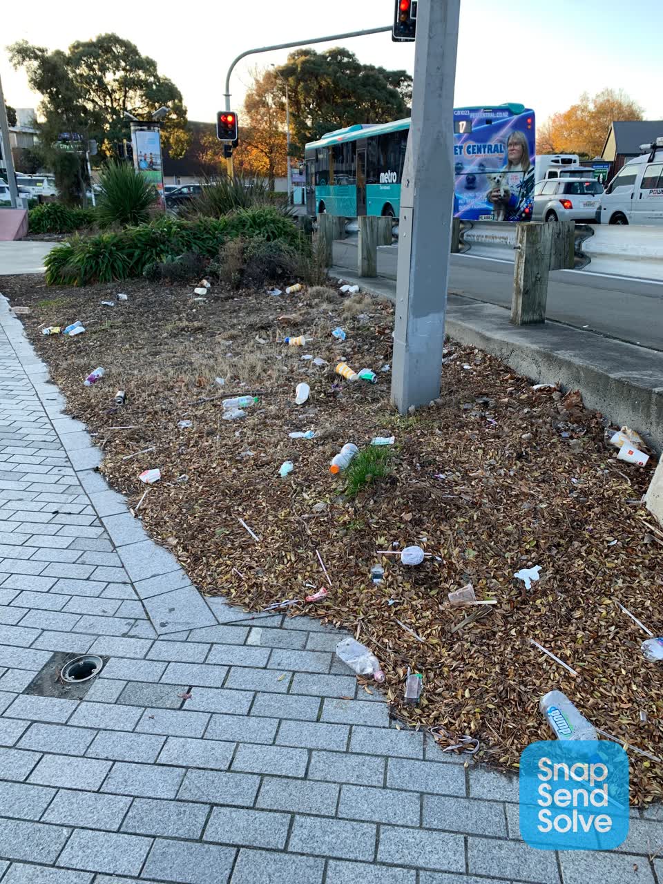 The photograph attached to this parks report
