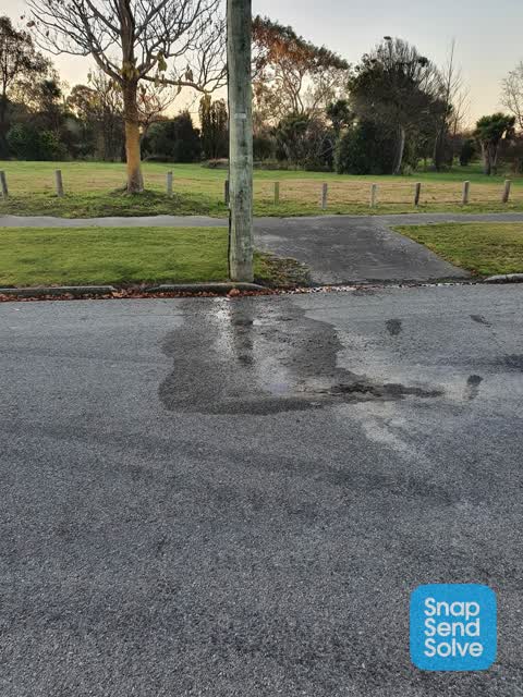 Water Leak, a report photo
