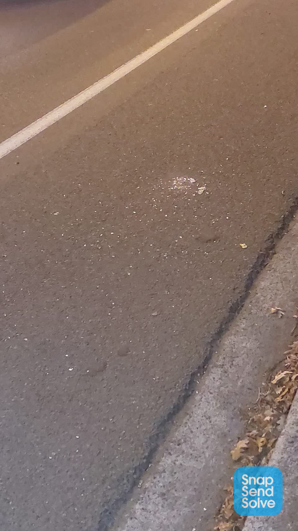 The photograph attached to this roading/streets report