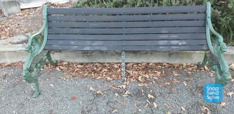 Parks — a report photo