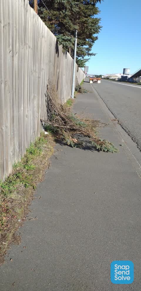 Roading/Streets, a report photo