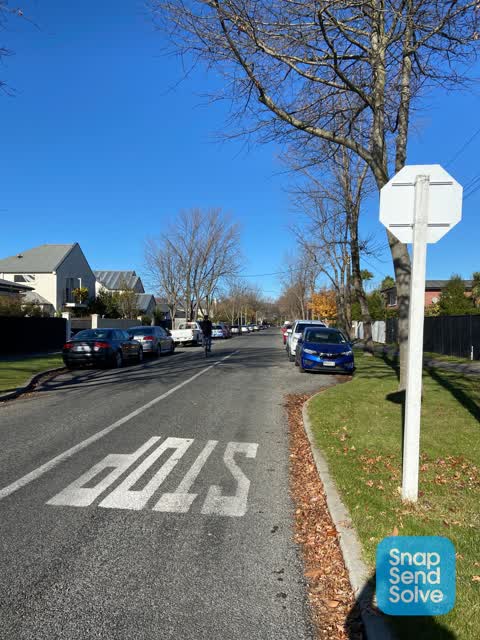 Roading/Streets, a report photo