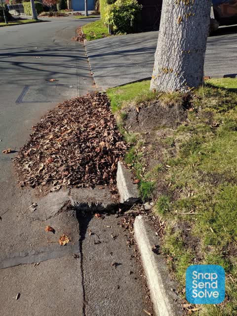 Wastewater/Stormwater, a report photo