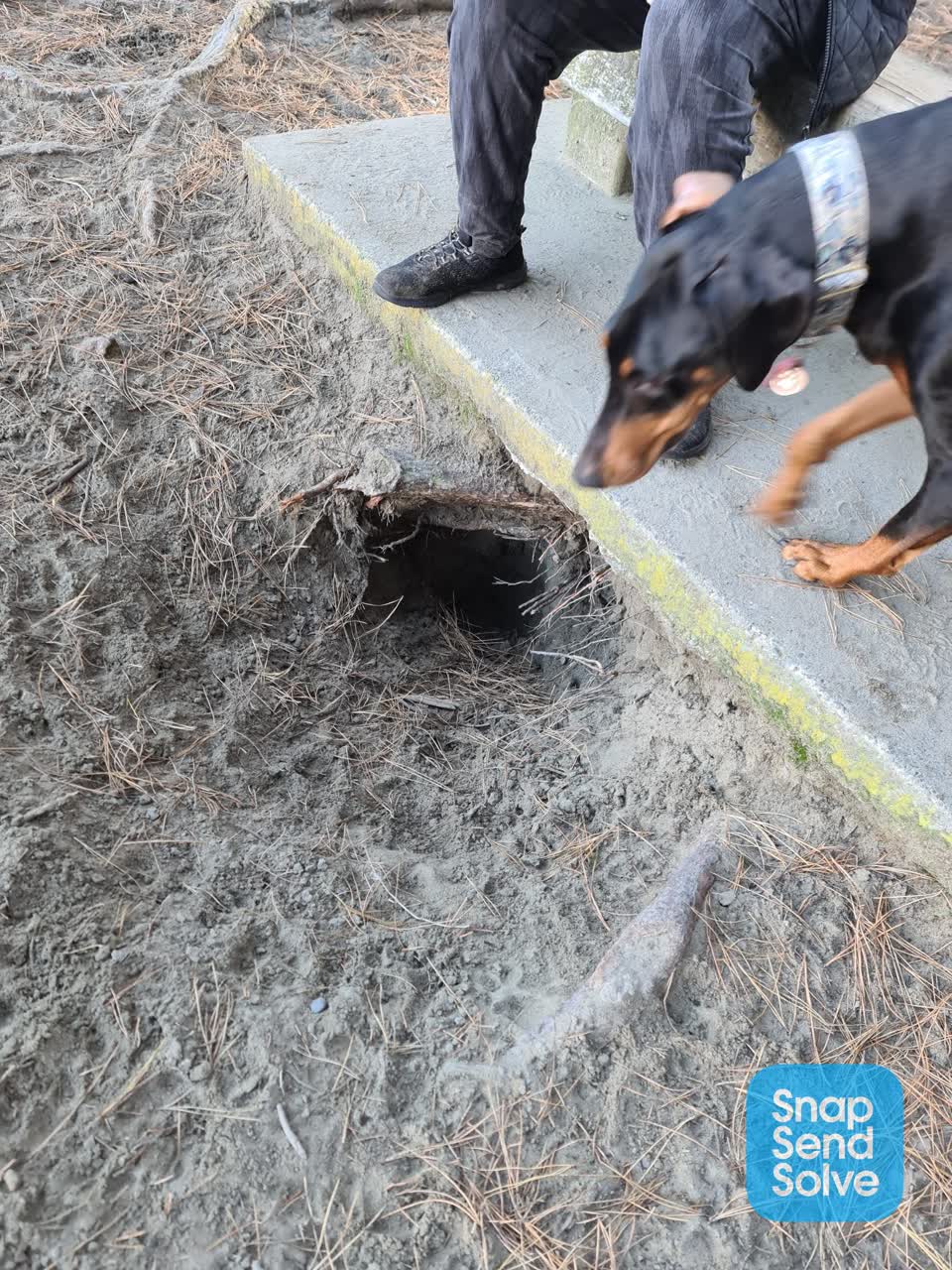 The photograph attached to this parks report