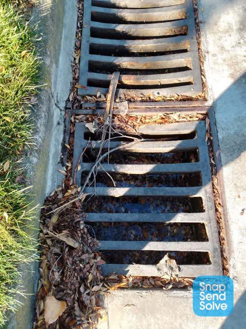 Wastewater/Stormwater, a report photo