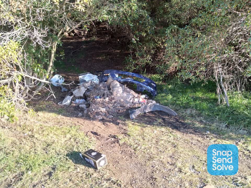 The photograph attached to this parks report