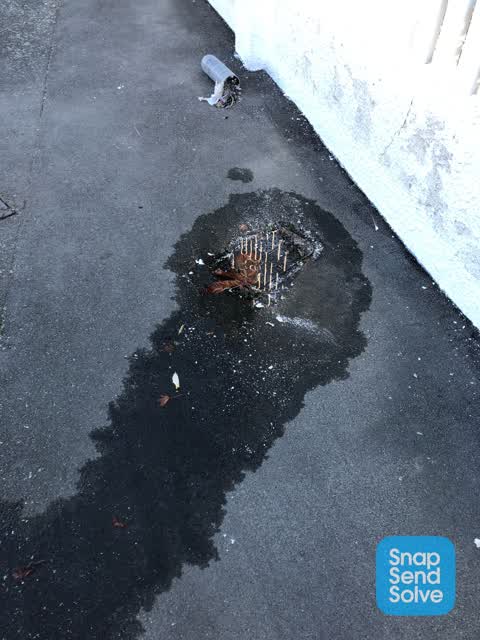 Water Leak, a report photo