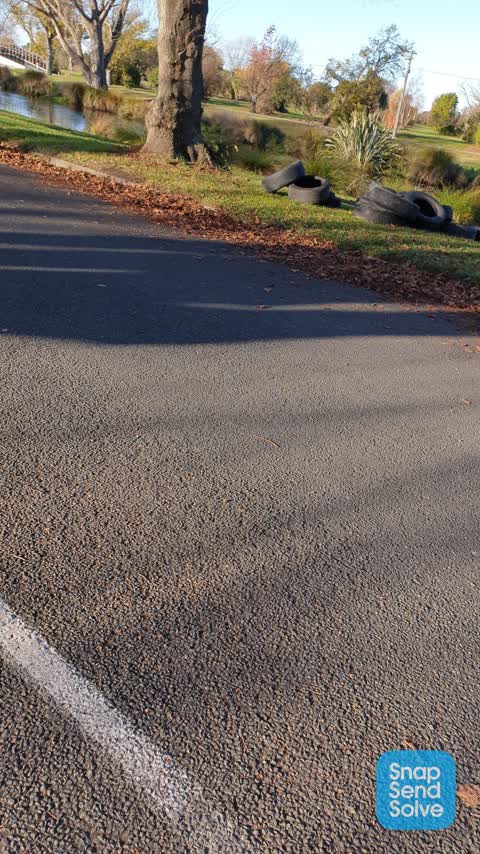 Rubbish/Recycling, a report photo