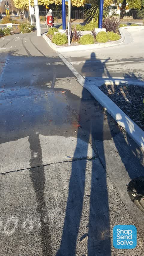 Sewer - General, a report photo