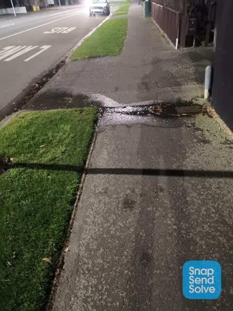 Water Leak, a report photo