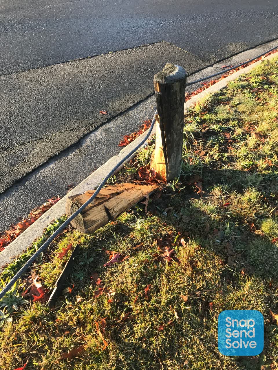 The photograph attached to this parks report