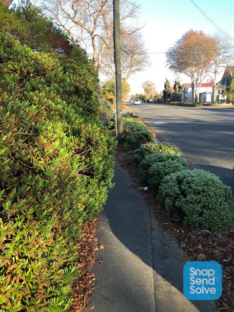 Roading/Streets, a report photo