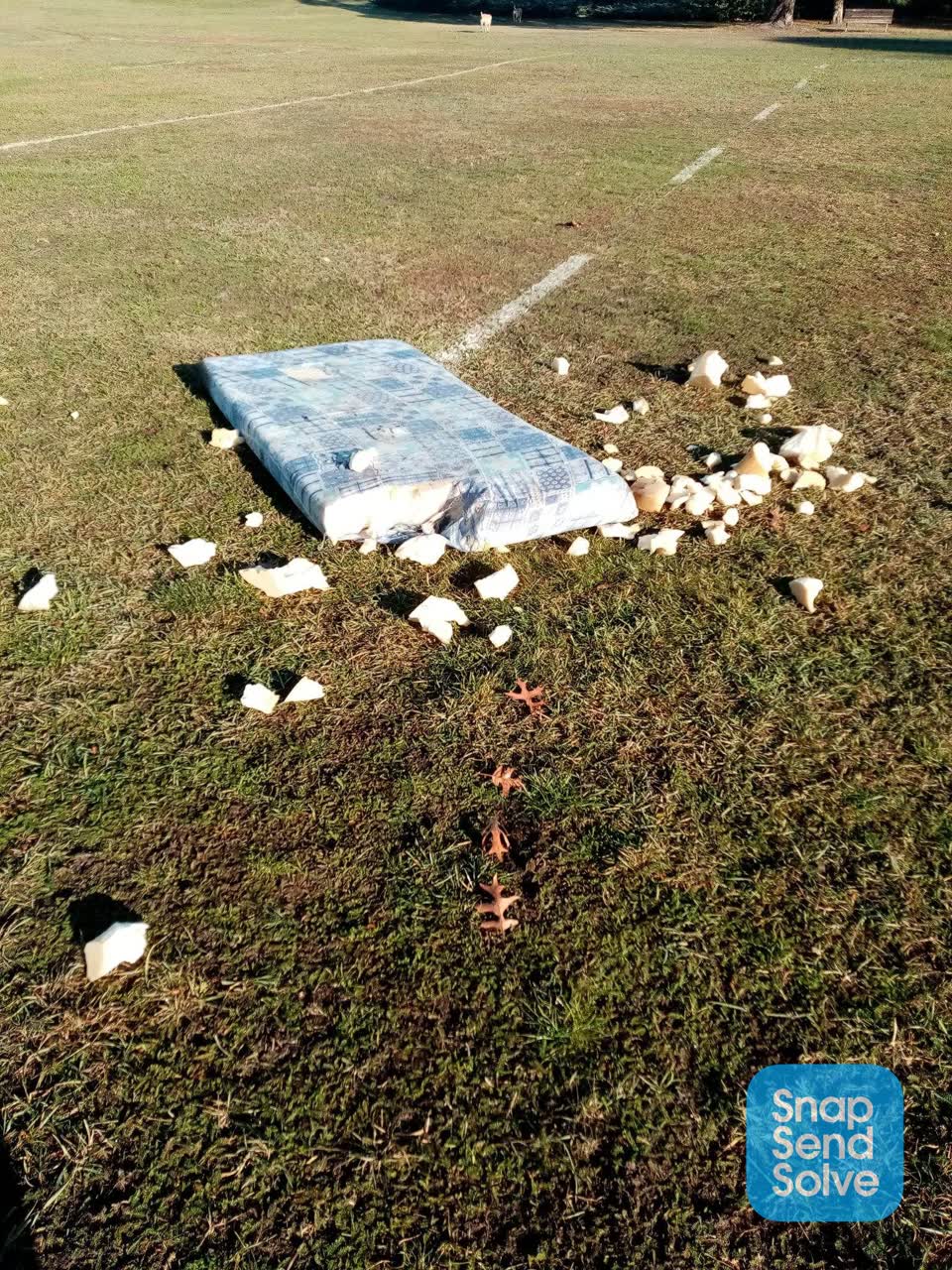 The photograph attached to this rubbish/recycling report