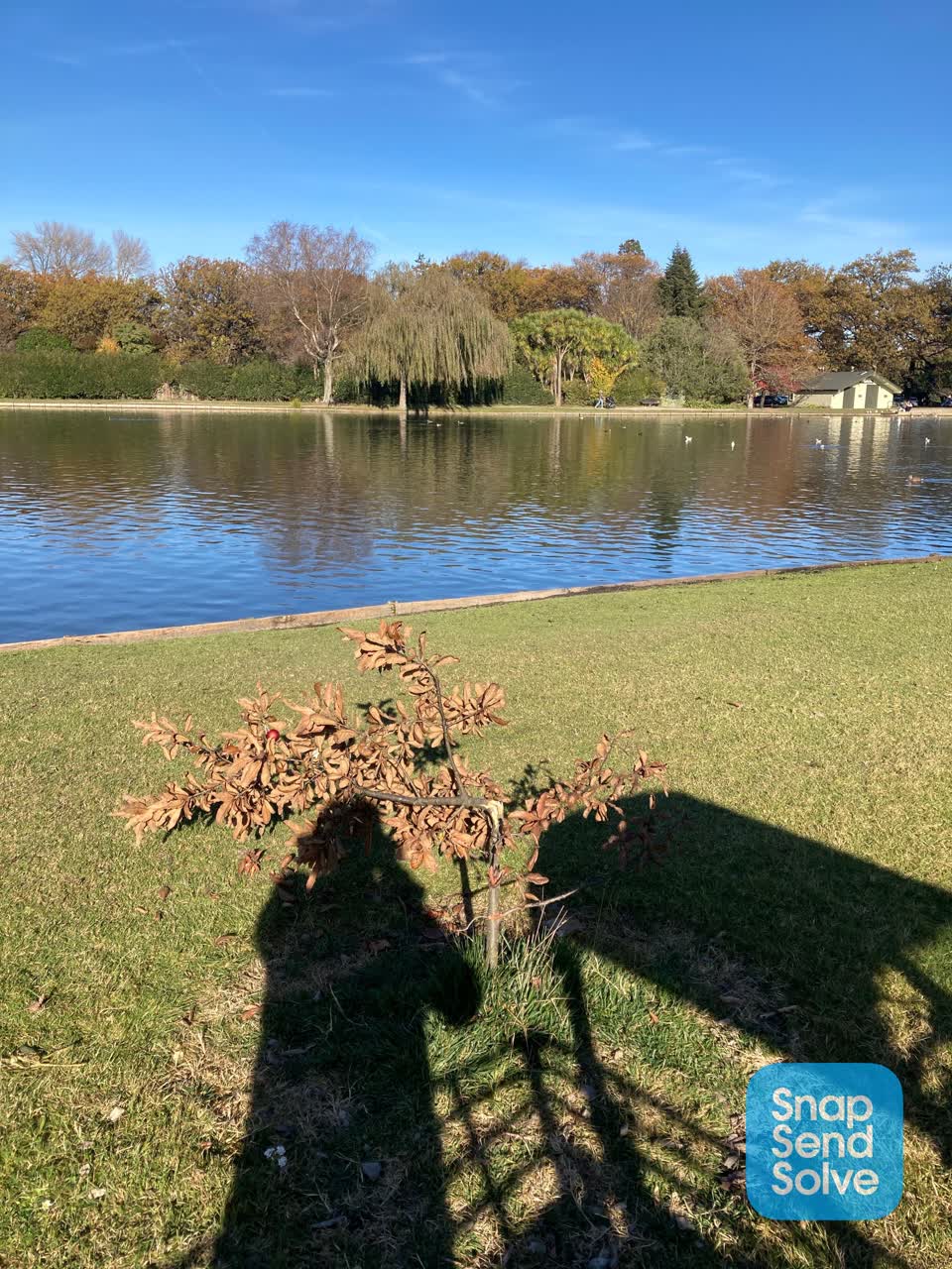 The photograph attached to this parks report
