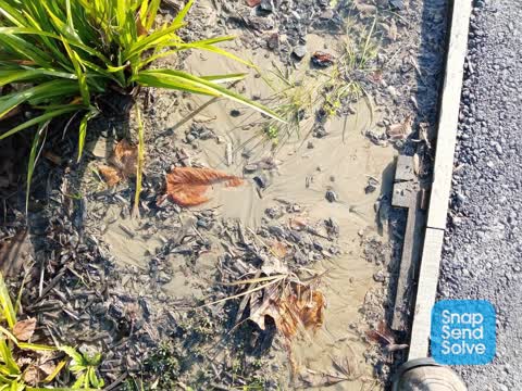 Water Leak, a report photo