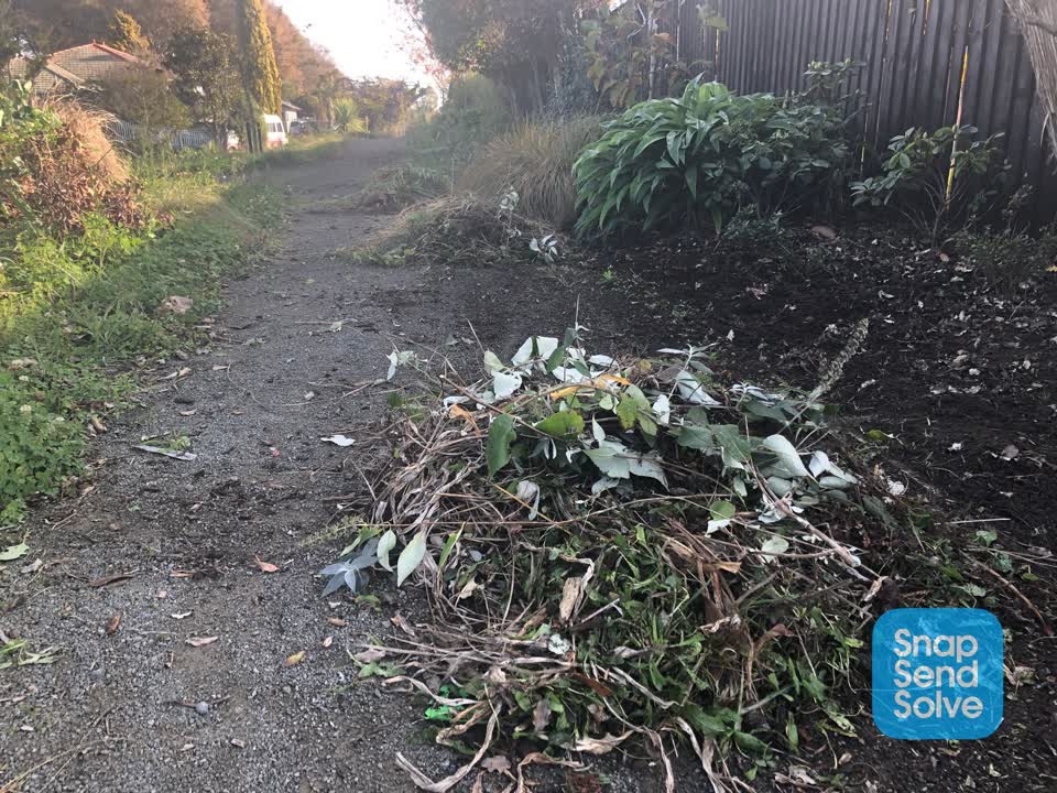 The photograph attached to this rubbish/recycling report