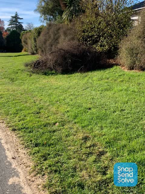 Parks, a report photo